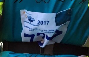 Cape Peninsula Marathon
