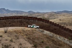 Eight Species at Risk of Extinction in Arizona Due to Trump’s Border Wall Construction