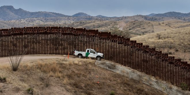 Eight Species at Risk of Extinction in Arizona Due to Trump’s Border Wall Construction