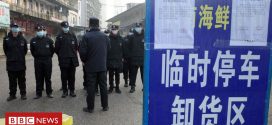 Wuhan pneumonia outbreak: First case reported outside China