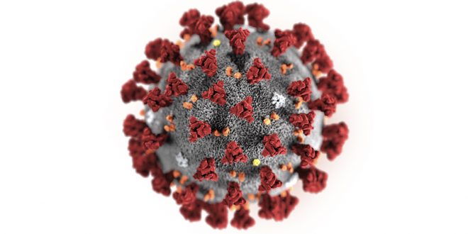 Coronavirus: Bay Area’s 1st case confirmed in Santa Clara County, CDC says -TV