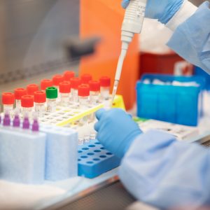 What is the coronavirus?