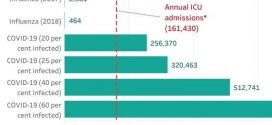 This chart shows how many Australians could land in ICU with COVID-19