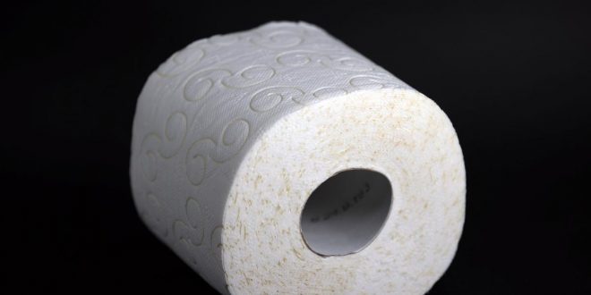 Pulp friction: Border jams delay supply of toilet paper’s only ingredient