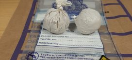 Two arrested after drugs seized at virus checkpoint