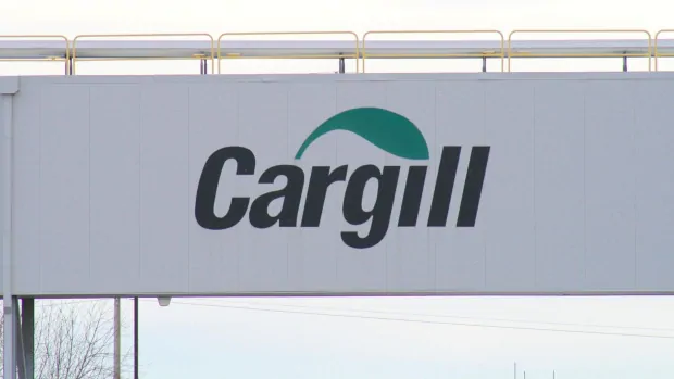 What led to Alberta’s biggest outbreak? Cargill meat plant’s hundreds of COVID-19 cases | CBC News