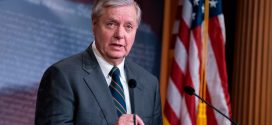 Senate Democrats Urge Lindsey Graham To Focus Hearings On COVID-19, Not More Judges