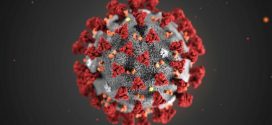 Researchers find new coronavirus strain ‘more contagious’, potentially impacting COVID-19 vaccine search