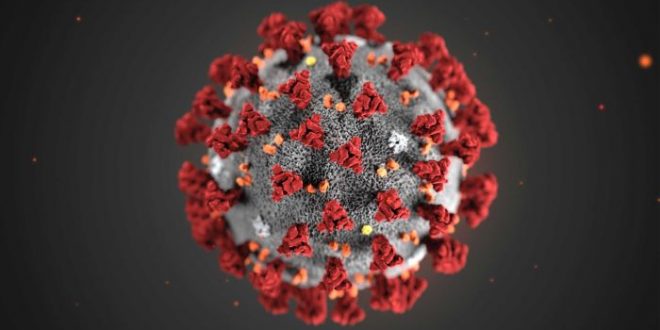 Researchers find new coronavirus strain ‘more contagious’, potentially impacting COVID-19 vaccine search