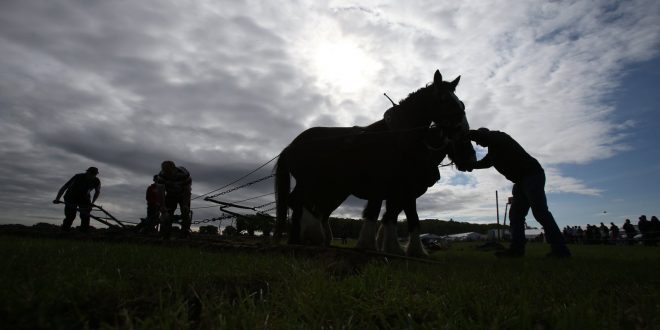 Covid-19 sees cancellation of Ploughing Championships