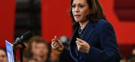 Kamala Harris proposes monthly income boost for Americans during COVID crisis
