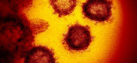 US coronavirus update: Latest news on cases, deaths and reopenings