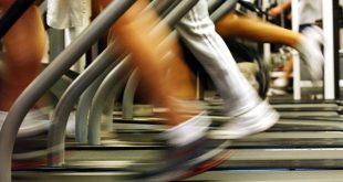 Covid-19 lockdown: United Gyms takes govt to court in bid to get back on the treadmill | News24