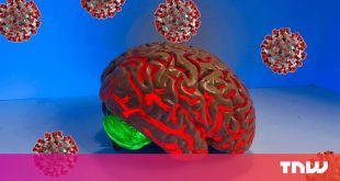 A neurologist explains how coronavirus impacts the brain