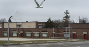 Shorter days, higher costs: Toronto board details return-to-school scenarios
