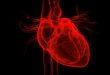COVID-19 linked to heart damage in healthy people, small study suggests
