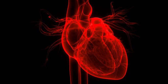 COVID-19 linked to heart damage in healthy people, small study suggests