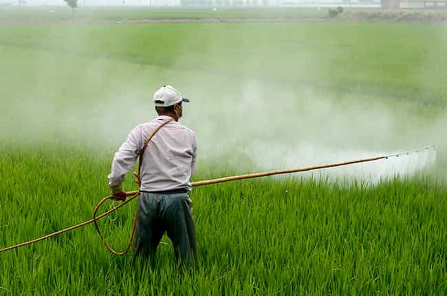 herbicideand pesticide spray