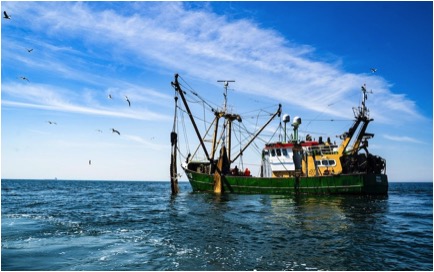 Fishing-North Sea