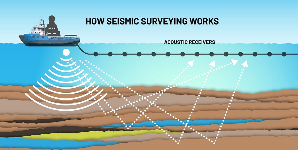 how seismic surveys work